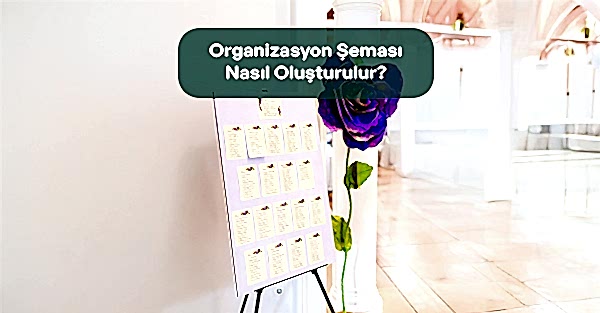 Organizasyon ŞemasıNasıl Oluşturulur