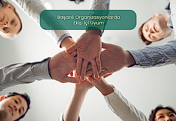Ekip içi uyum